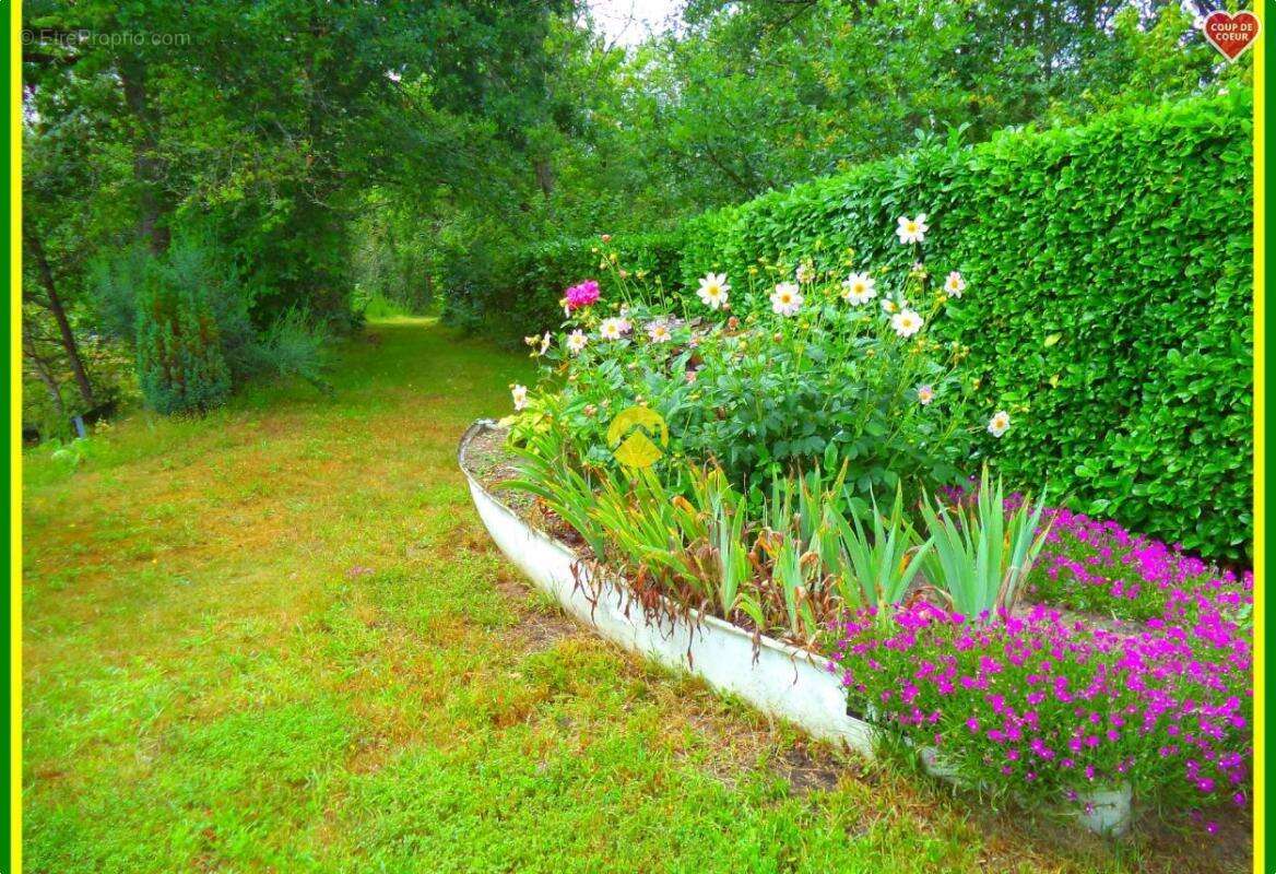 Box-pecheur de 15m² - photo 5