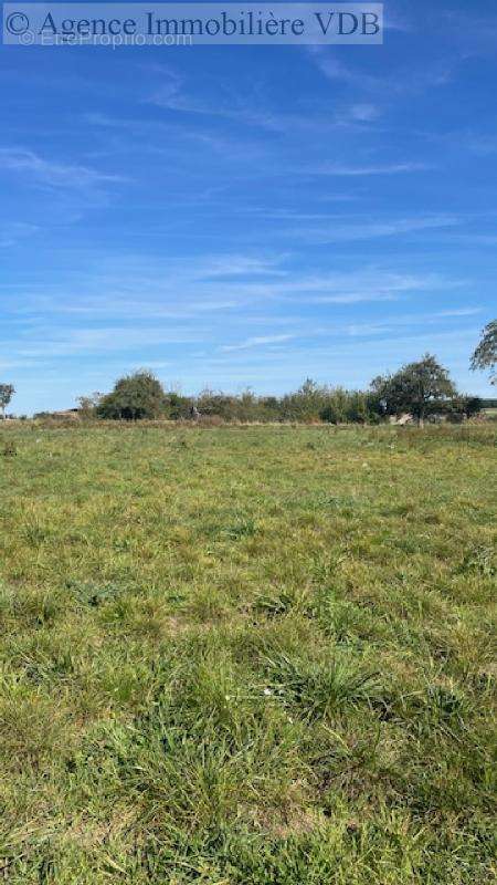 Terrain à JALLAUCOURT