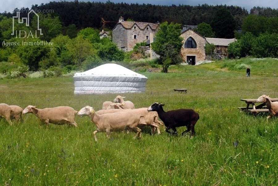 Maison à SEVERAC-LE-CHATEAU