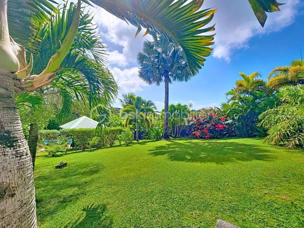 Maison à SAINT-FRANCOIS