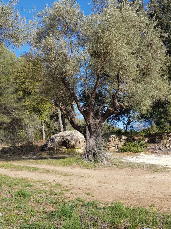 Maison à LE BEAUSSET