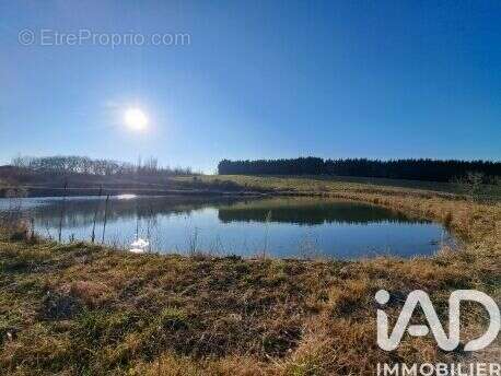 Photo 6 - Terrain à OZON