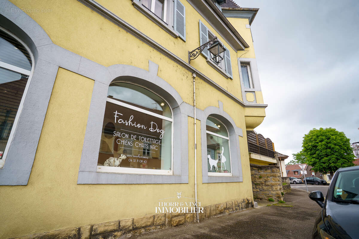Local Professionnel- 55 m2 - Altkirch - photo 16