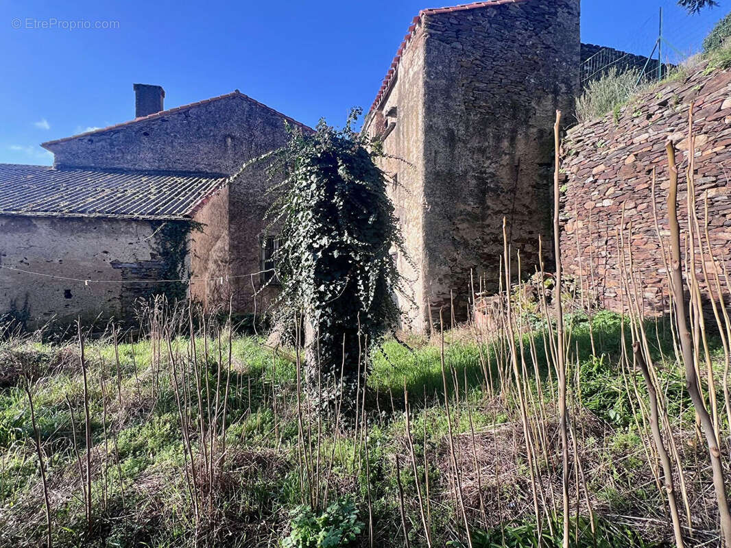 Maison à VILLENEUVE-MINERVOIS