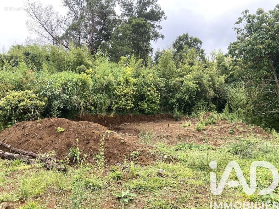 Photo 6 - Terrain à SAINT-PAUL