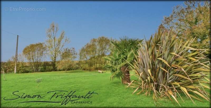 Maison à SAINT-JEAN-D&#039;ASSE