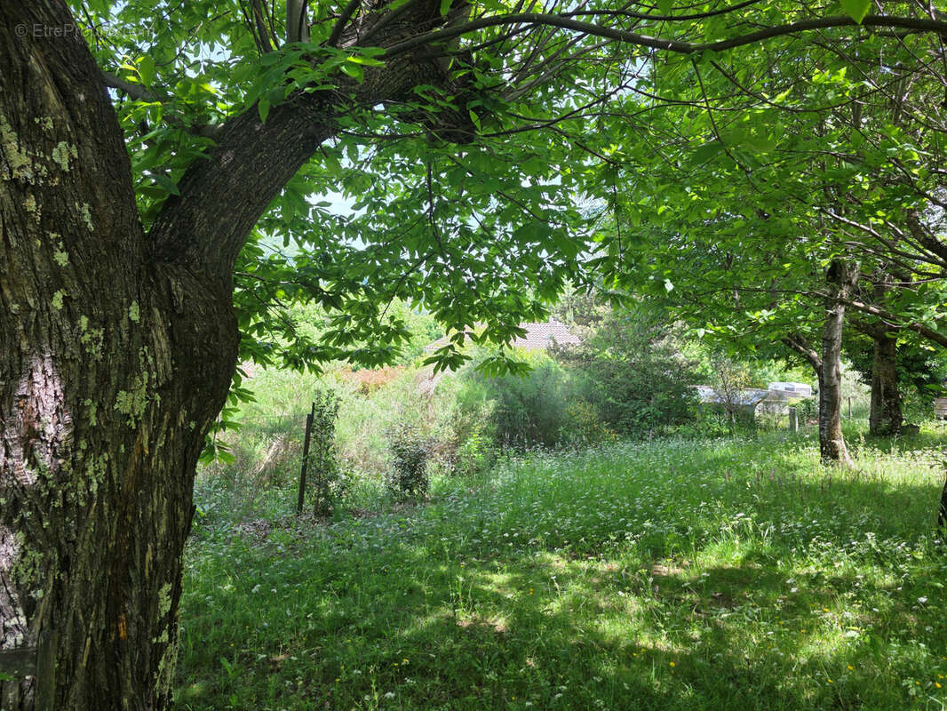 Maison à MONTPEZAT-SOUS-BAUZON