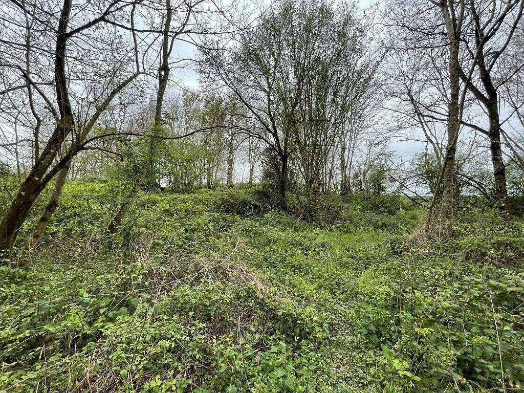 Terrain - 5440m ² - photo 3