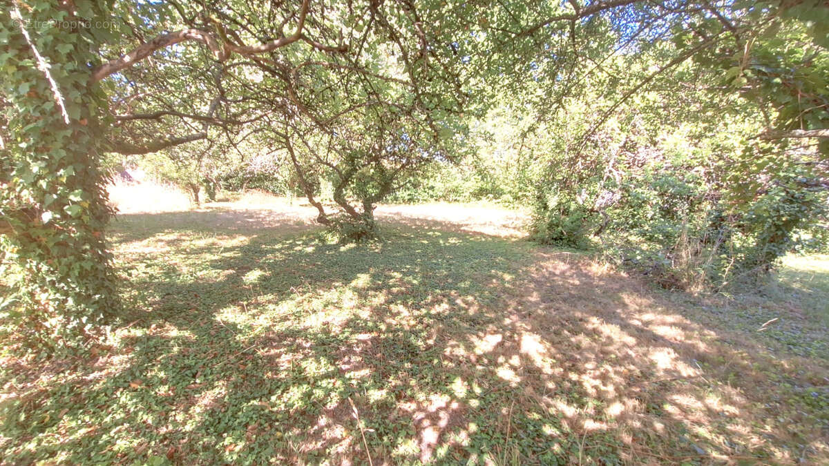 Terrain constructible - photo 2
