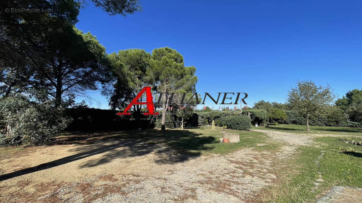 Villelongue Dels Monts - Villa 4 Faces 102 m2 carrez (160m2 utile) sur 3106m2 - photo 5