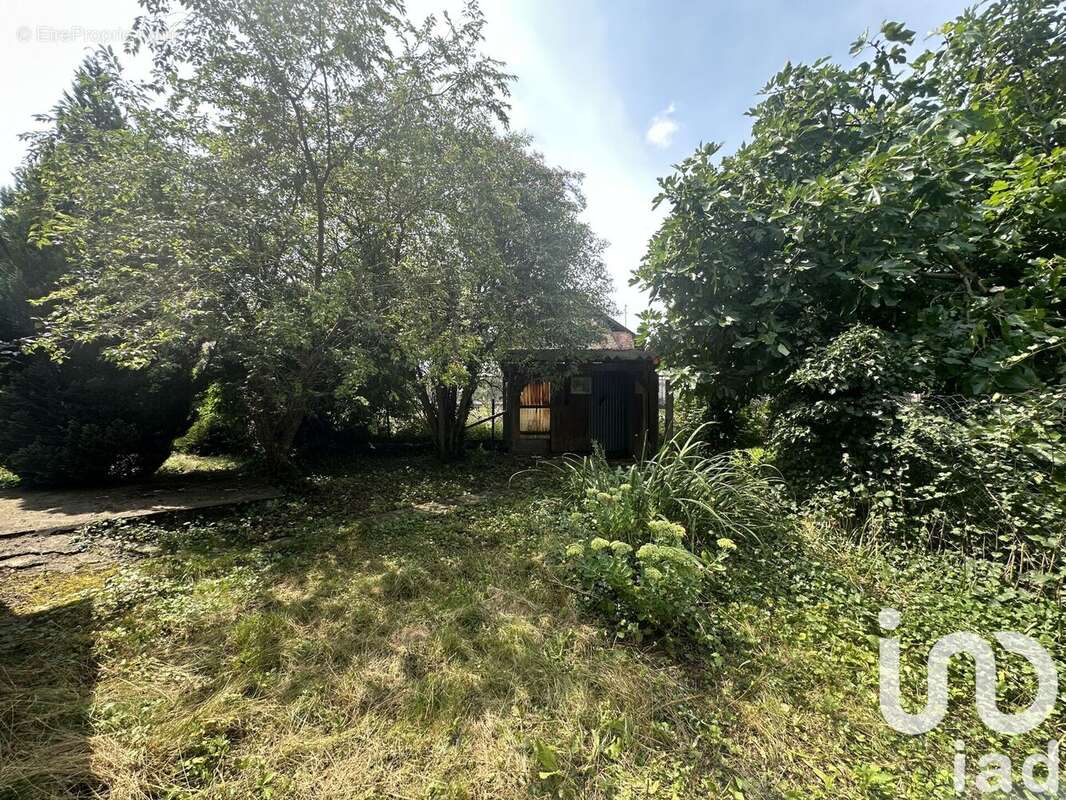 Photo 2 - Appartement à HIRSINGUE