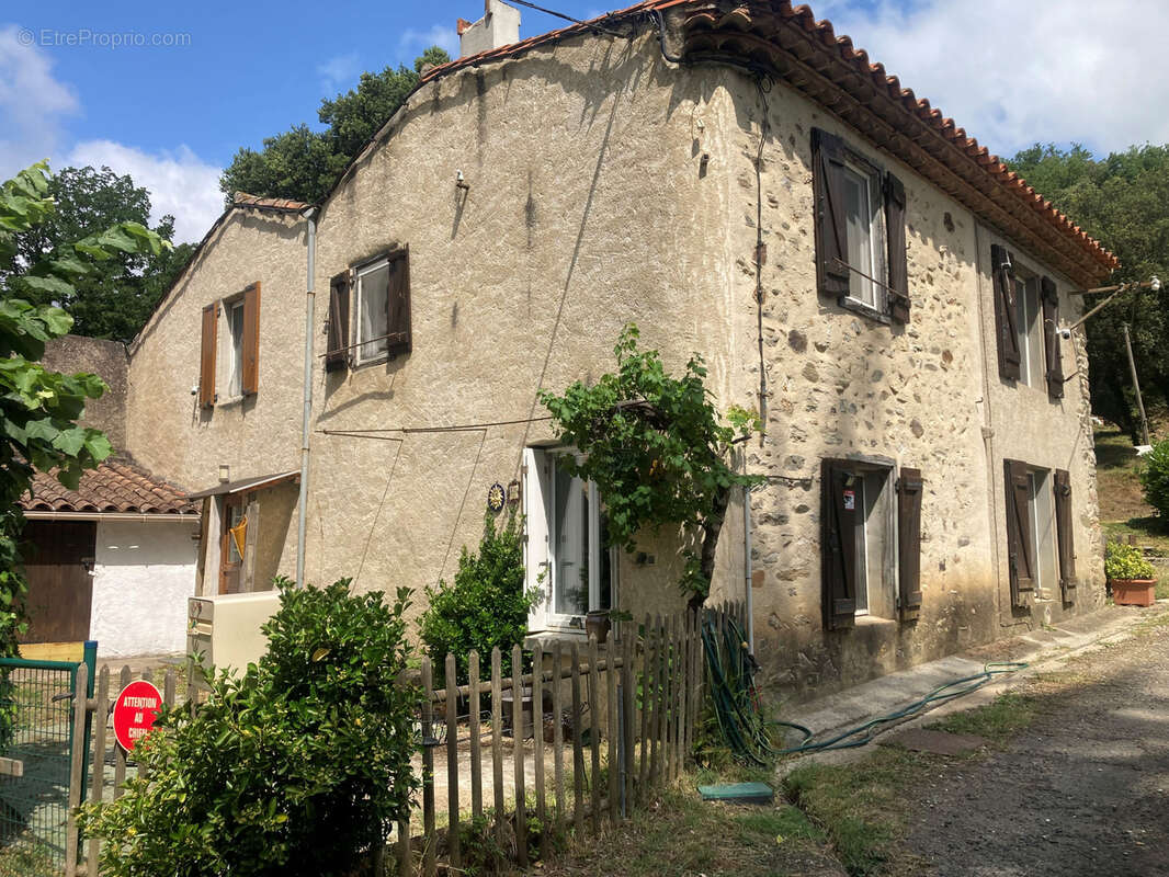 Corbières vertes, maison 4 chambres terrain 5000m2 avec source - photo 10