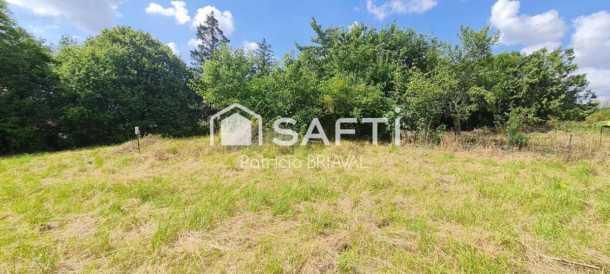 Terrain 1645 m² à Mont-Saint-Eloi  - photo 2