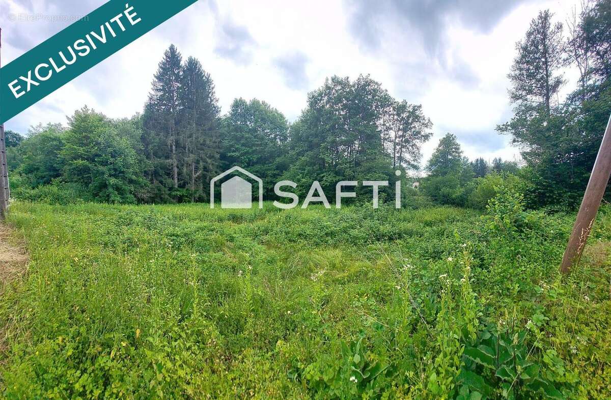 Photo 5 - Terrain à RONCHAMP