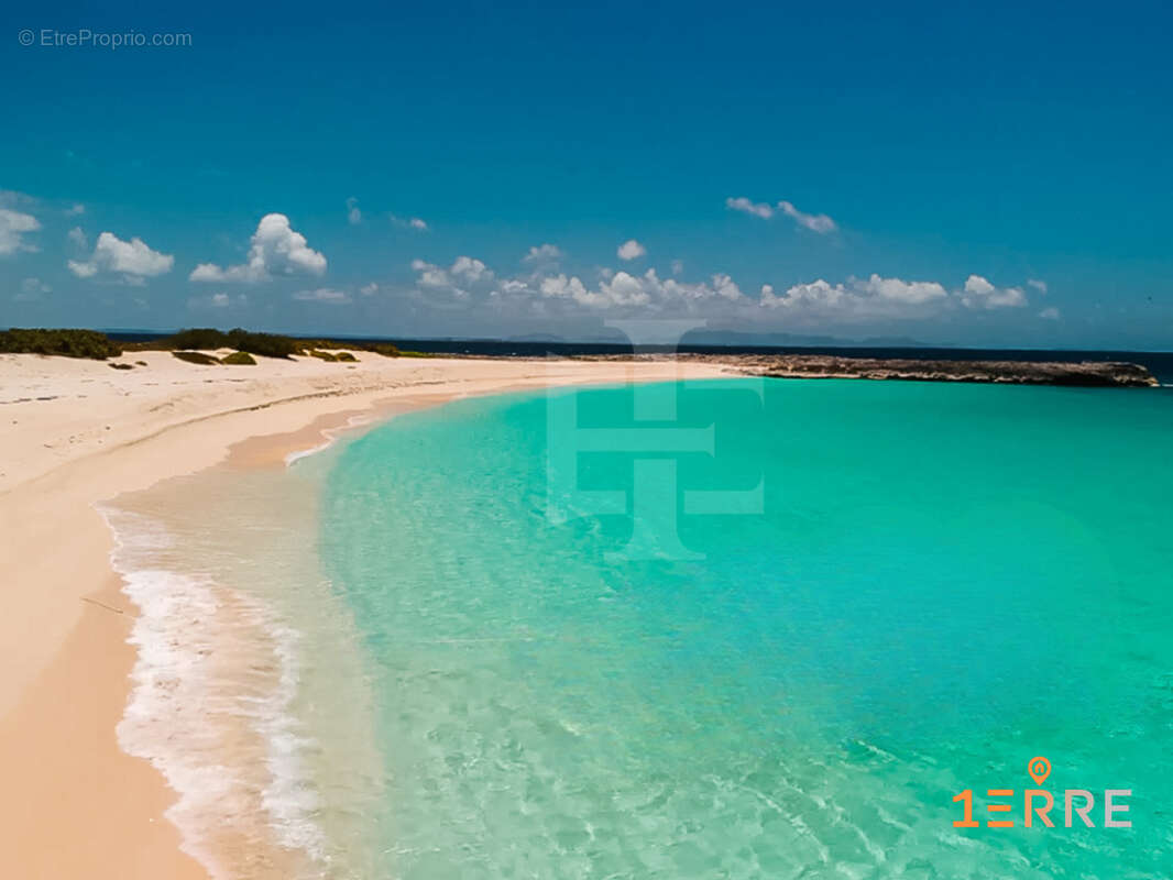 Autre à SAINT-MARTIN