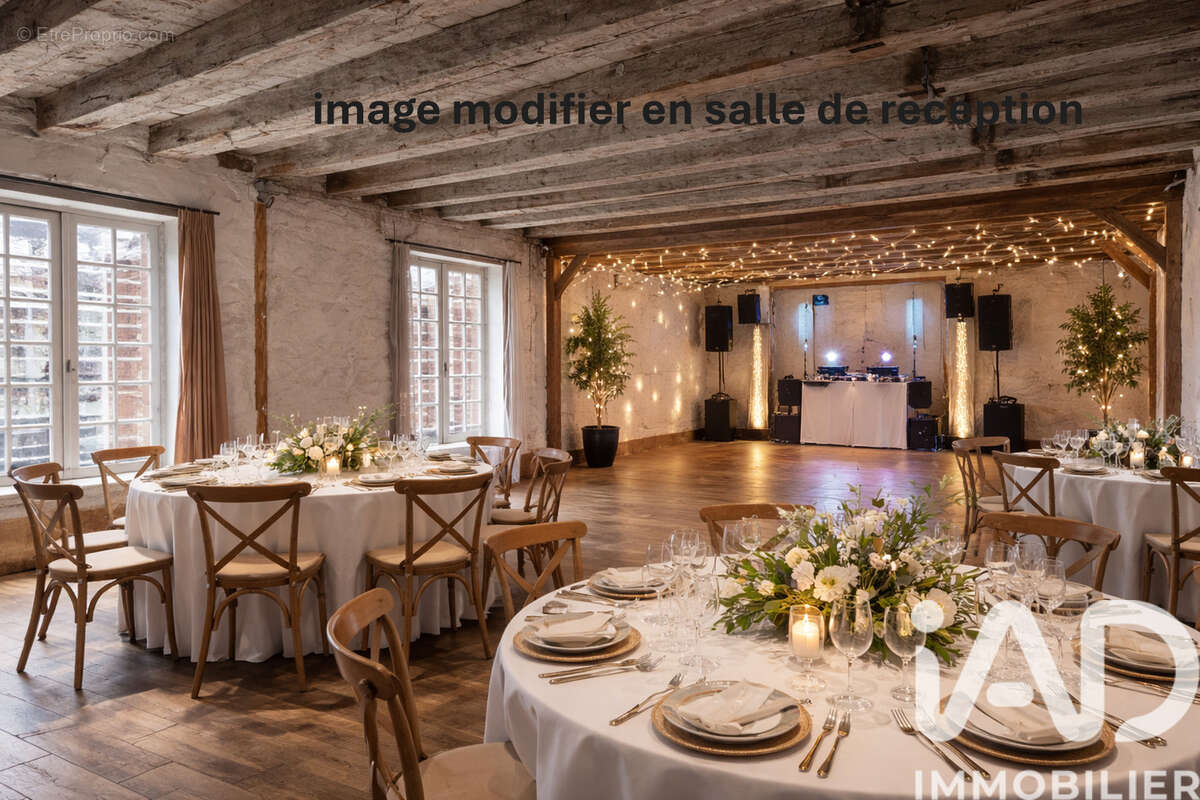 Maison 495 m² à Neuille-Le-Lierre  - photo 9