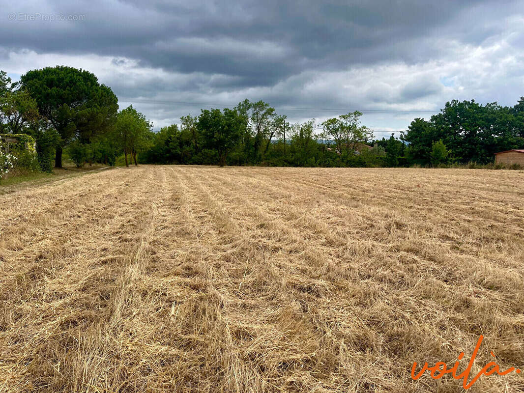 Terrain à CARCASSONNE