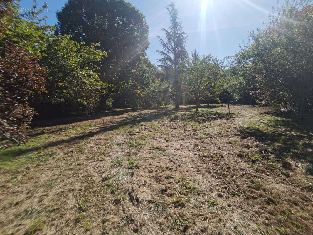 Maison à SAINT-CLAUD