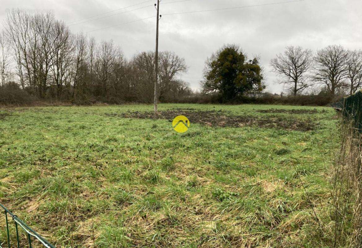 Terrain à CHALIVOY-MILON