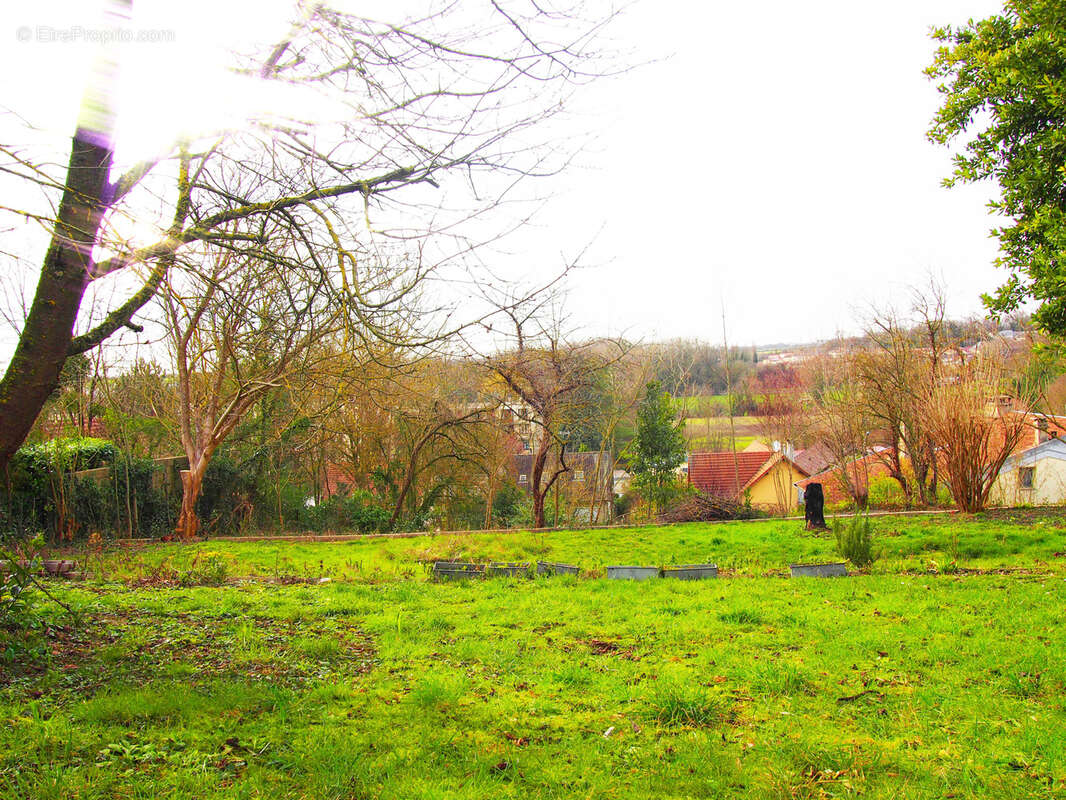 Terrain à LE THILLAY