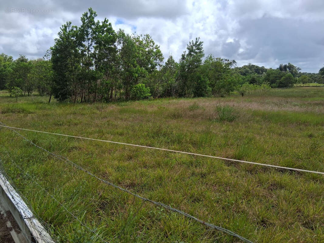 Terrain à KOUROU