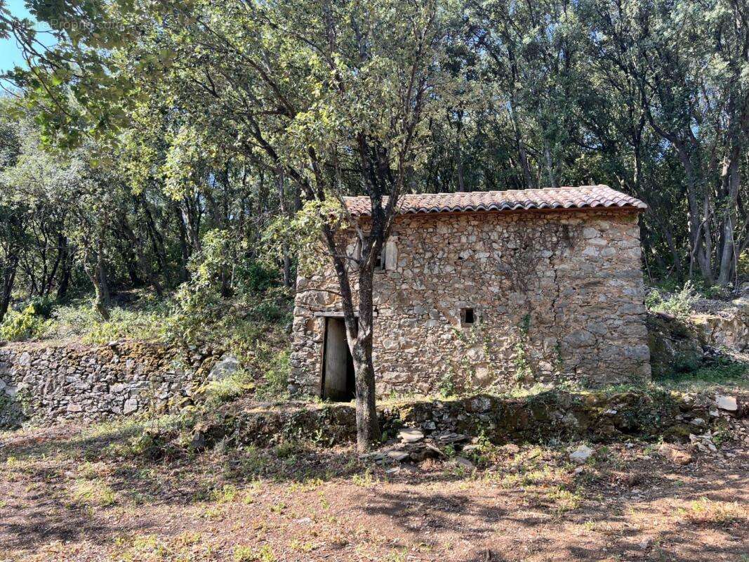 Terrain 20135 m² à Olargues  - photo 4