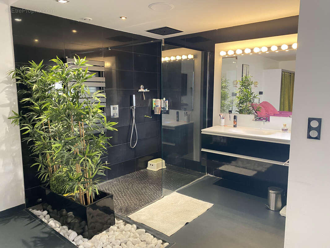 Autre à SAINT-ETIENNE