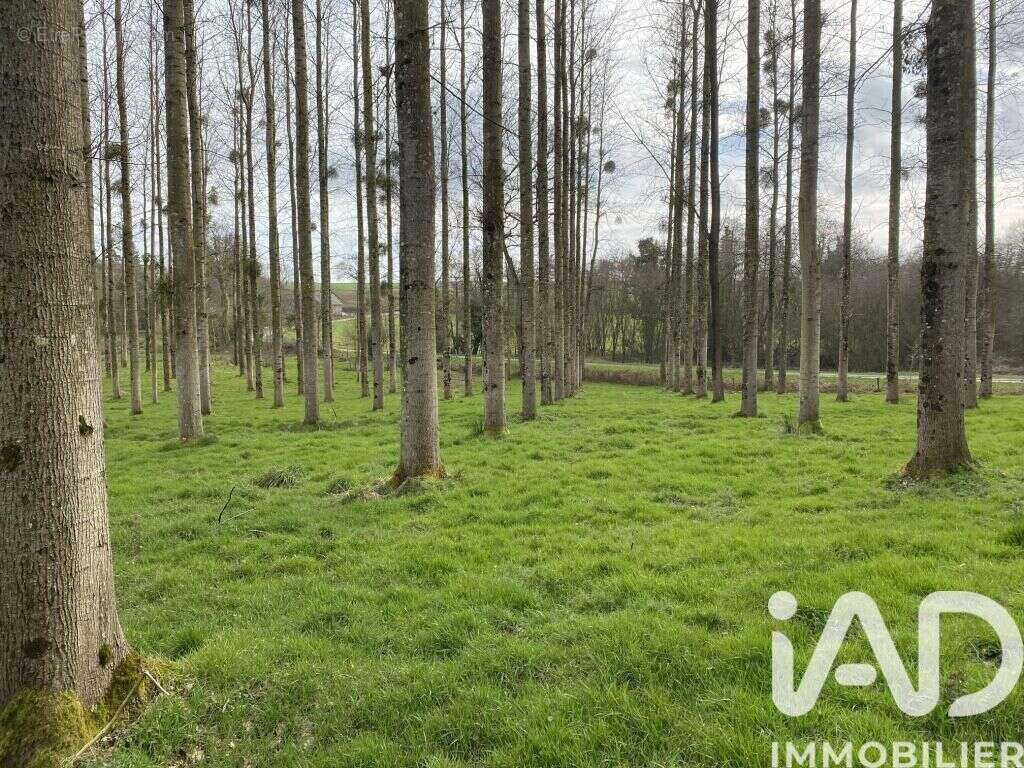 Photo 5 - Terrain à LE GOURAY