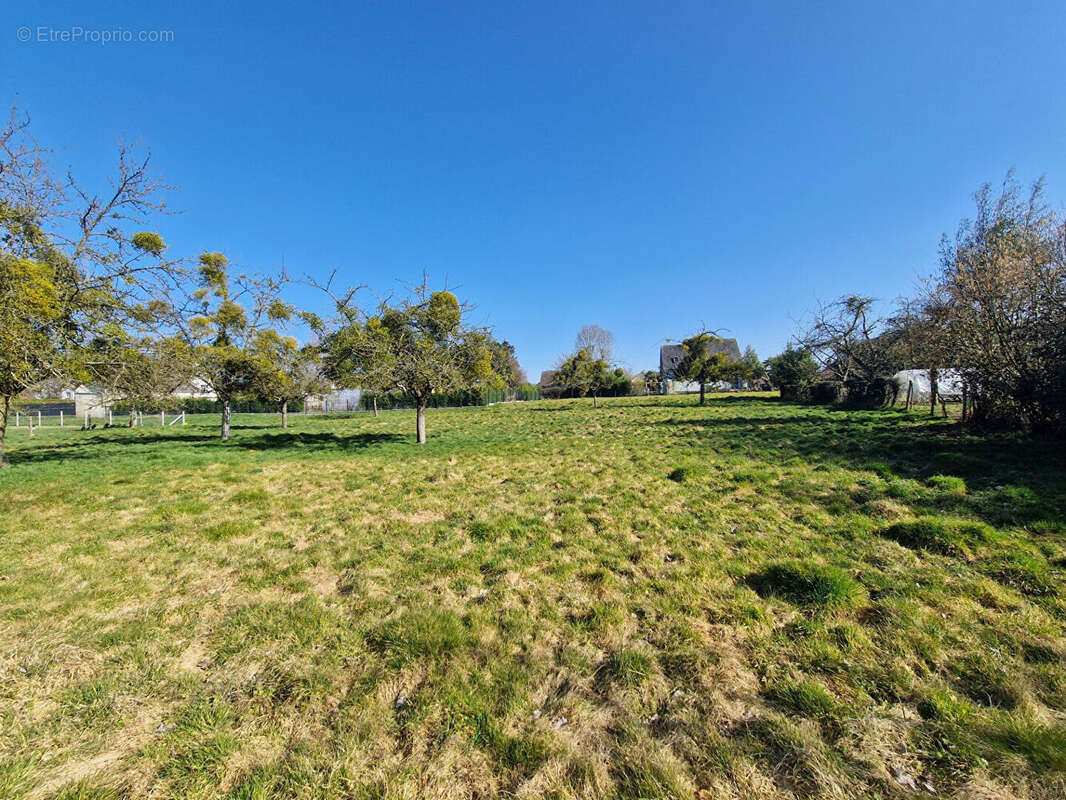 Terrain à MONTMAIN