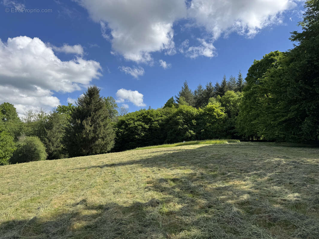 Terrain à LORMES