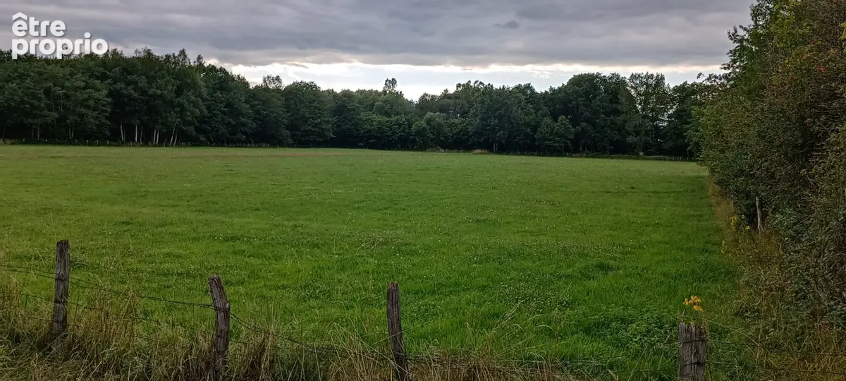 Terrain constructible.  9159 M2 m2 luxeuil - photo 8