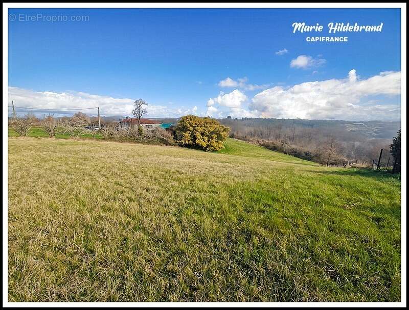 Terrain à MOISSAC