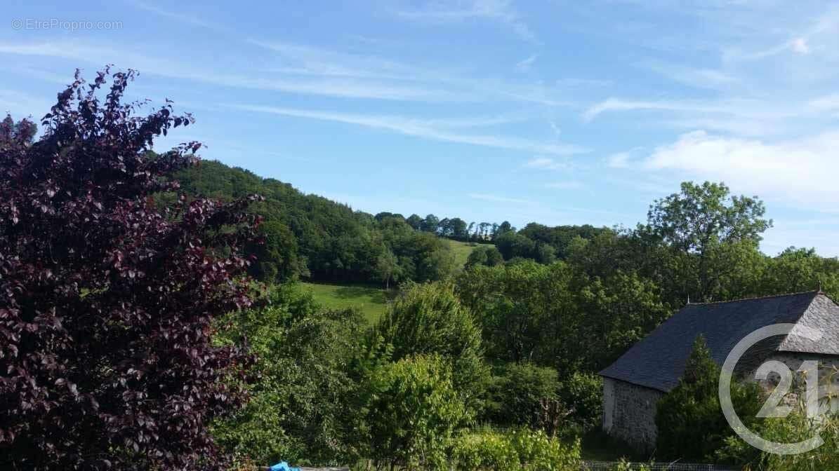 Maison à MUR-DE-BARREZ