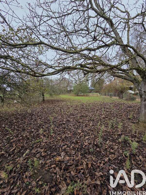Photo 2 - Terrain à SAVIGNE-L'EVEQUE