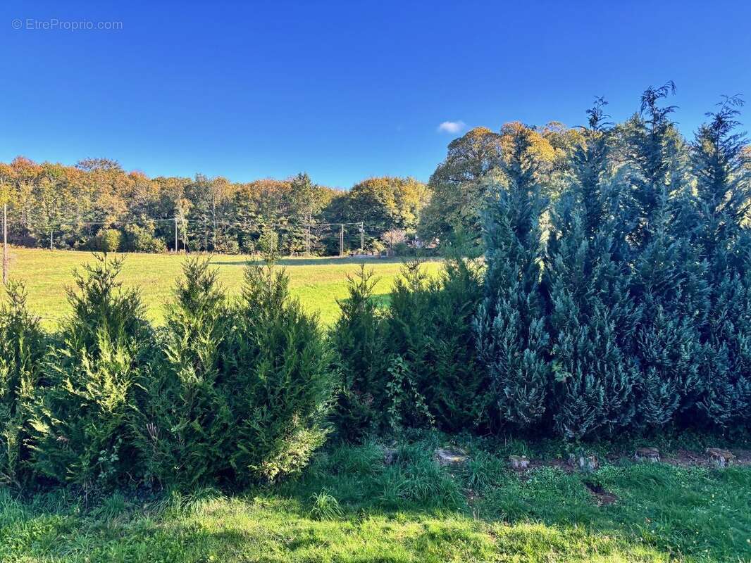 Maison à SOUDAINE-LAVINADIERE