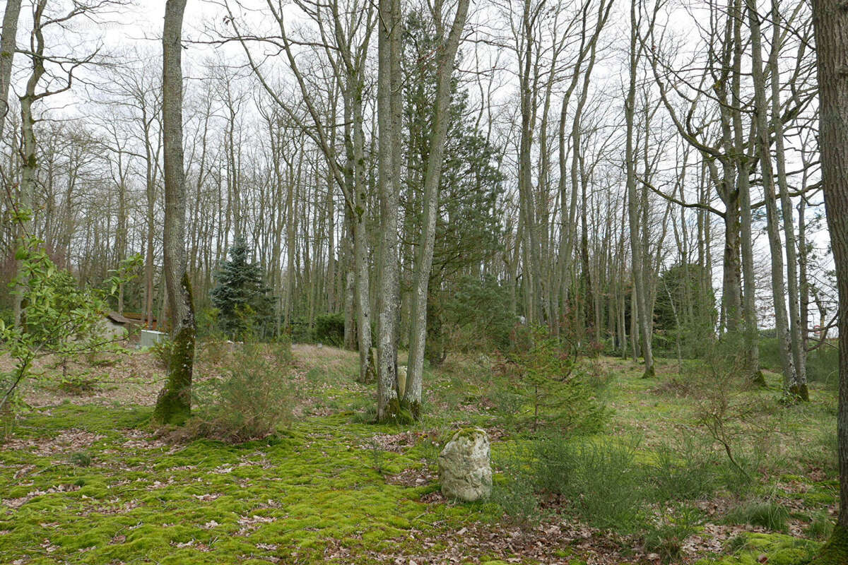 Terrain à MAINTENON