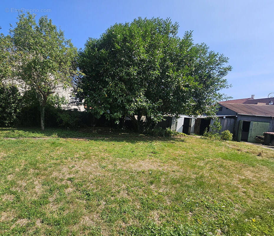 Terrain à COURSON-MONTELOUP