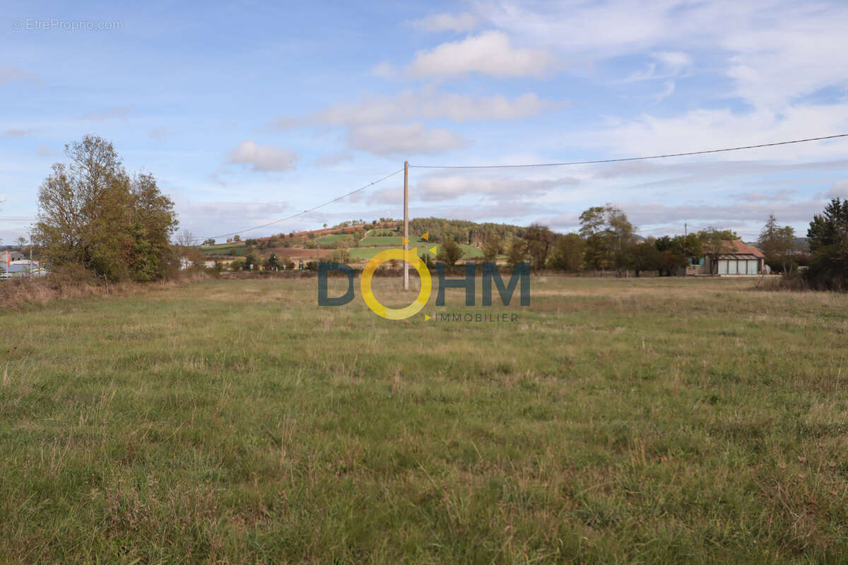 Terrain à SAINT-PAULIEN