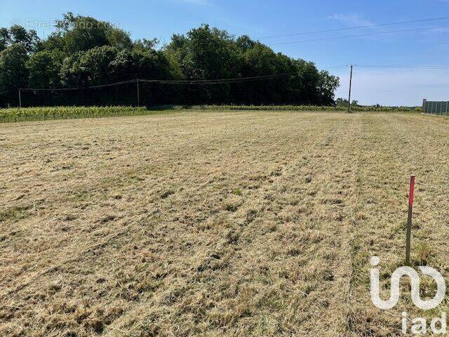 Photo 1 - Terrain à JONZAC