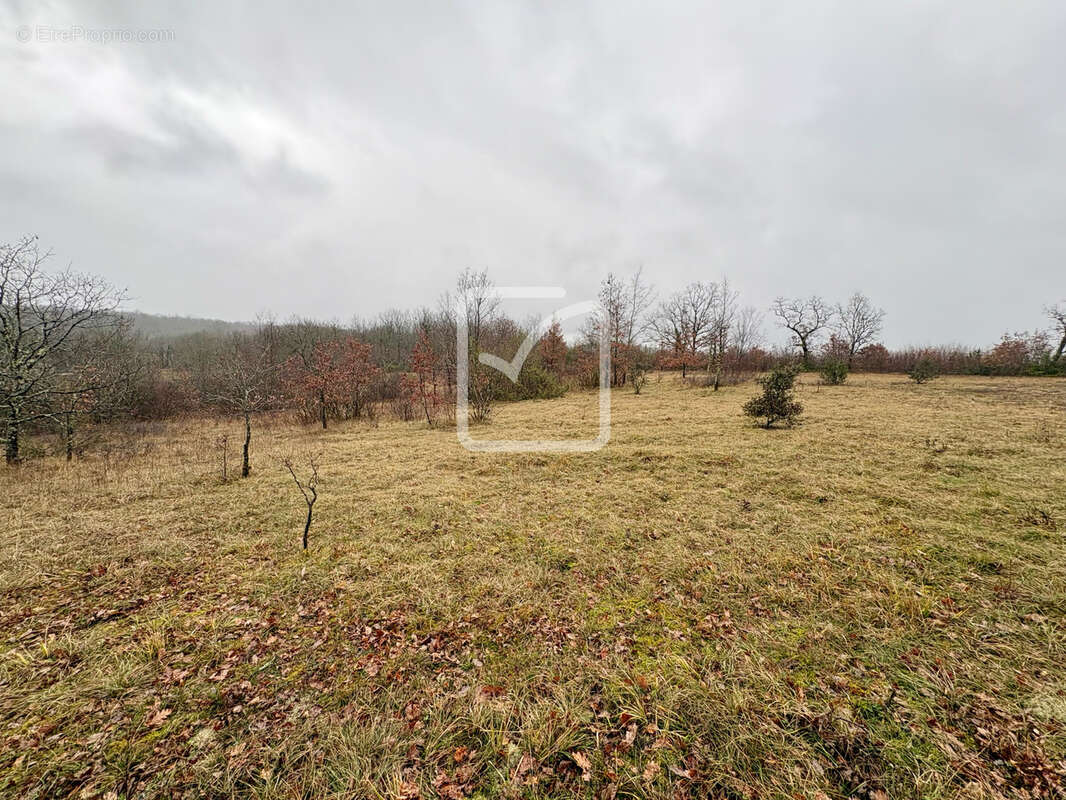 Terrain à CHAVAGNAC