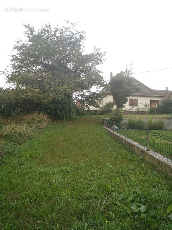 Terrain à SURBOURG