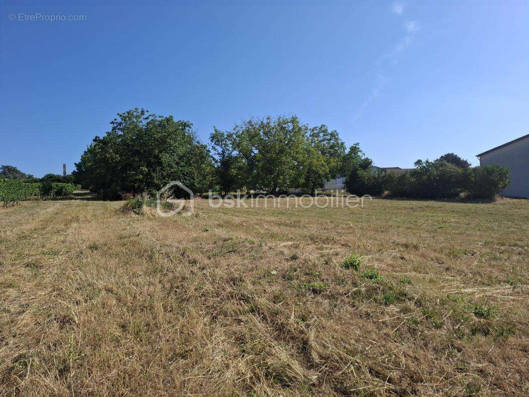 Terrain à bâtir de 1383 m² - Mérignas (33350) - photo 3