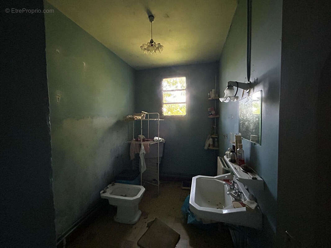 Maison à rénover avec terrain GEAUNE - photo 12