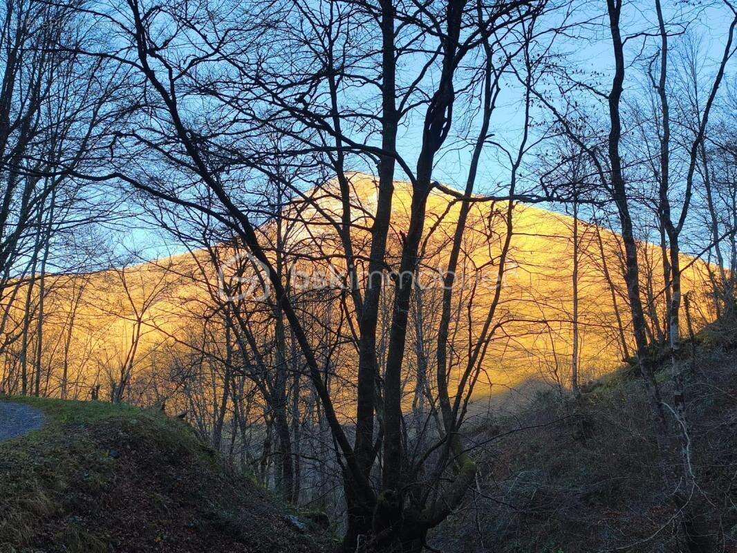 Maison à LOURDIOS-ICHERE