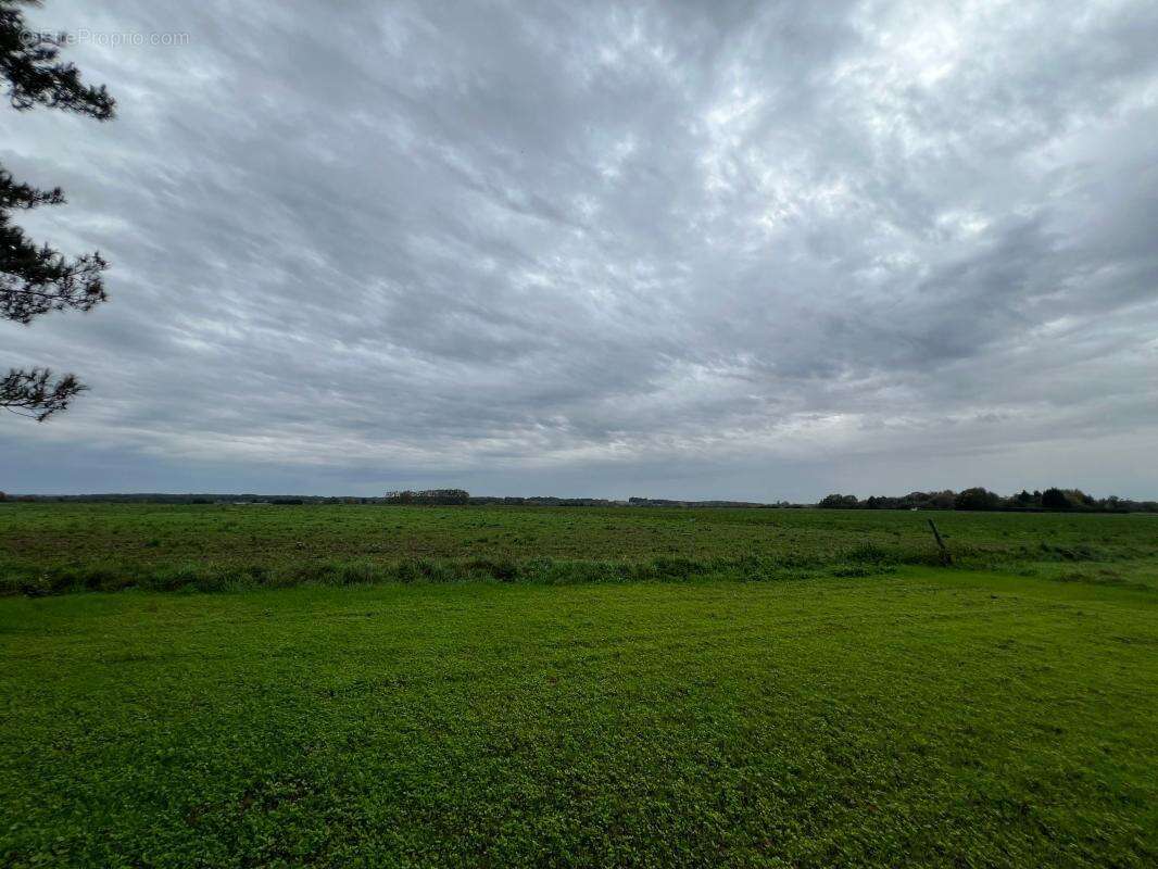 Maison à VARENNES-SUR-FOUZON