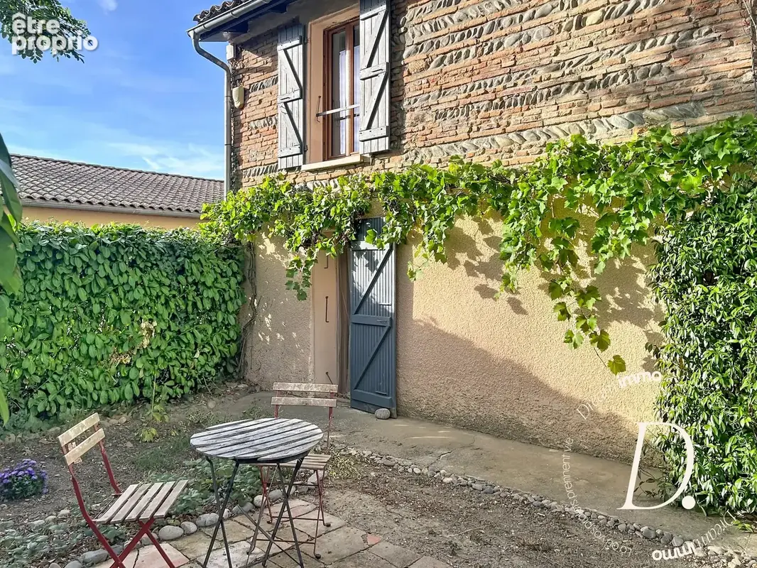 Coin repas extérieur à l'ombre de la vigne vierge