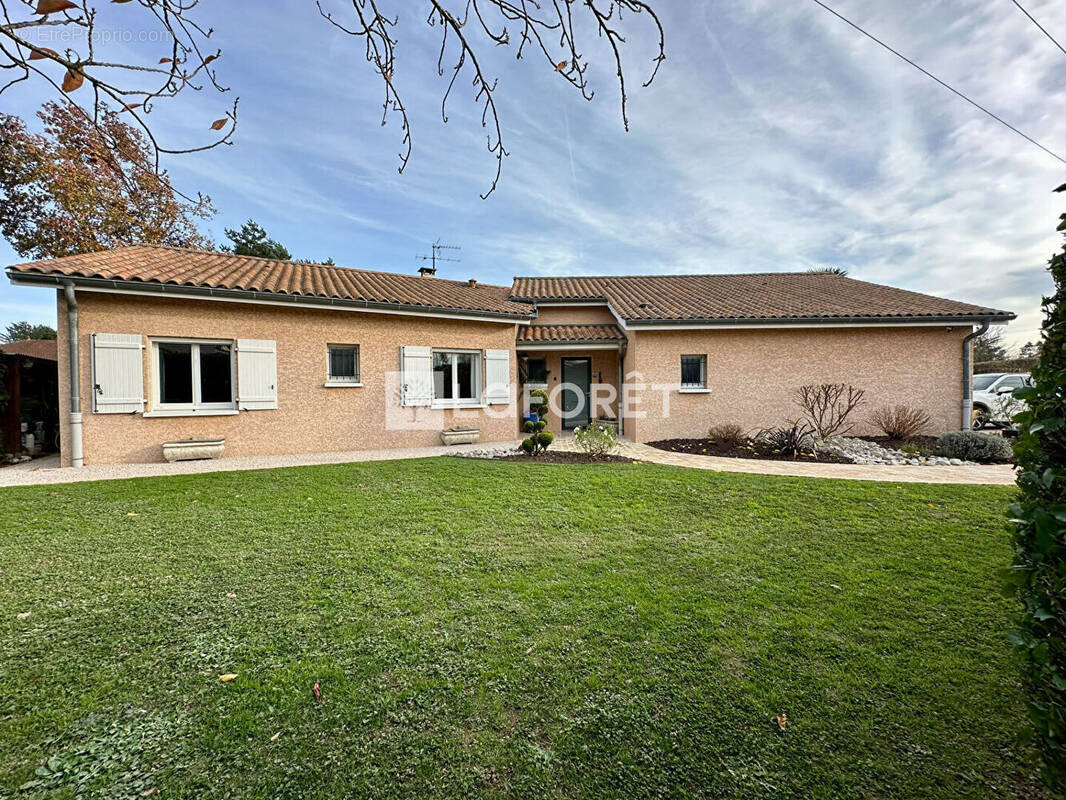 Maison à SAINT-ANDRE-LE-BOUCHOUX