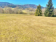 Terrain à SAINT-ANDRE-DE-BOEGE