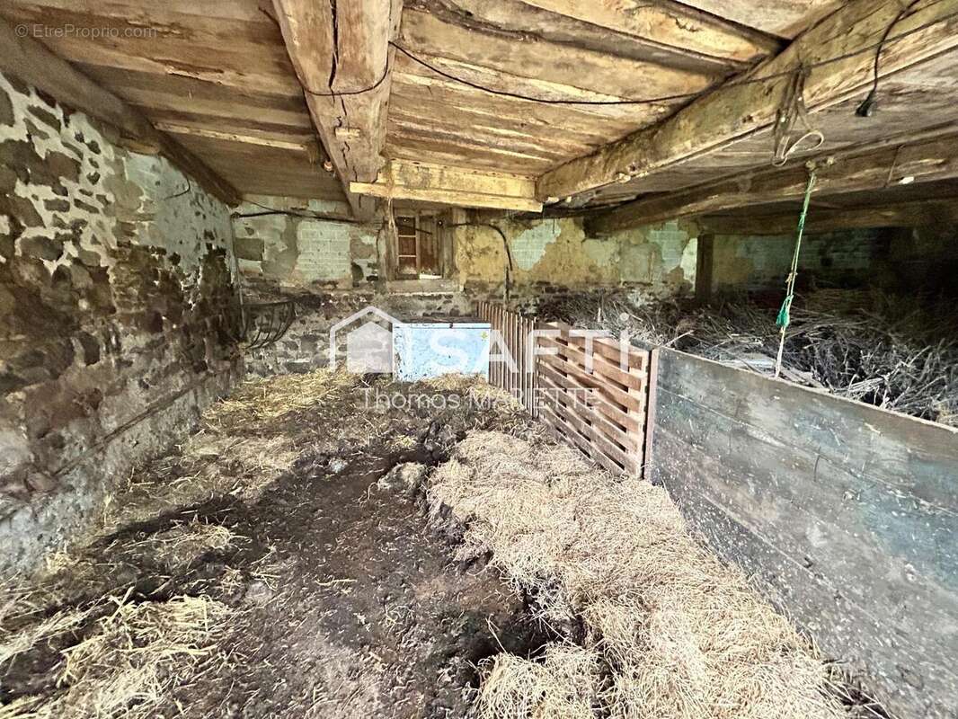 Photo 4 - Appartement à BESLON