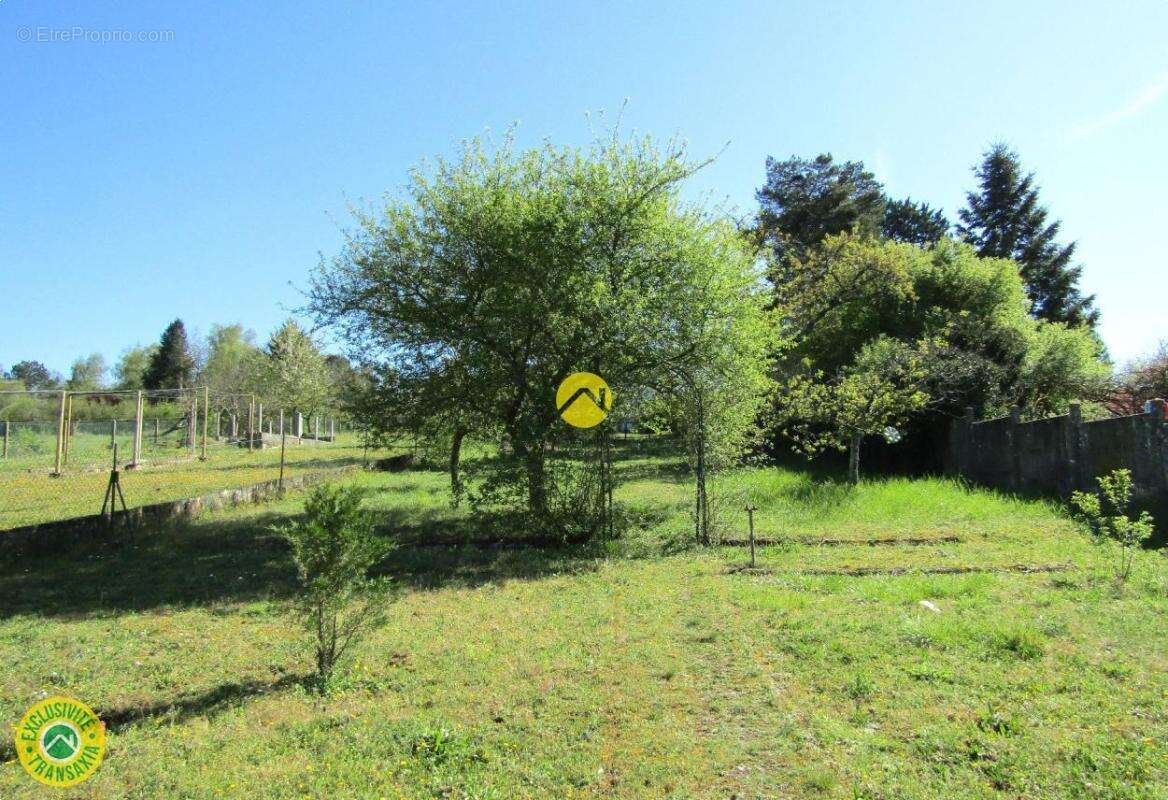 Maison à MONTRICHARD